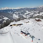 Appealing In With Ski-storage Apartment Kleinarl